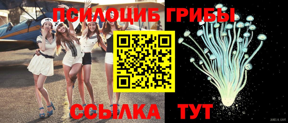 Псилоцибиновые грибы мухоморы Карталы